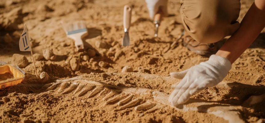 O município de Parintins (a 369 km de Manaus) será palco, entre os dias 22 e 25 de outubro, do 2º Seminário de Arqueologia: Patrimônio, Legislação e Pesquisas, organizado pelo Centro de Estudos Superiores de Parintins ( CESP ) da Universidade do Estado do Amazonas (UEA). O evento conta com o apoio do governo estadual, por meio da Fundação de Amparo à Pesquisa do Estado do Amazonas (Fapeam), pelo edital Parev nº 005/2025.